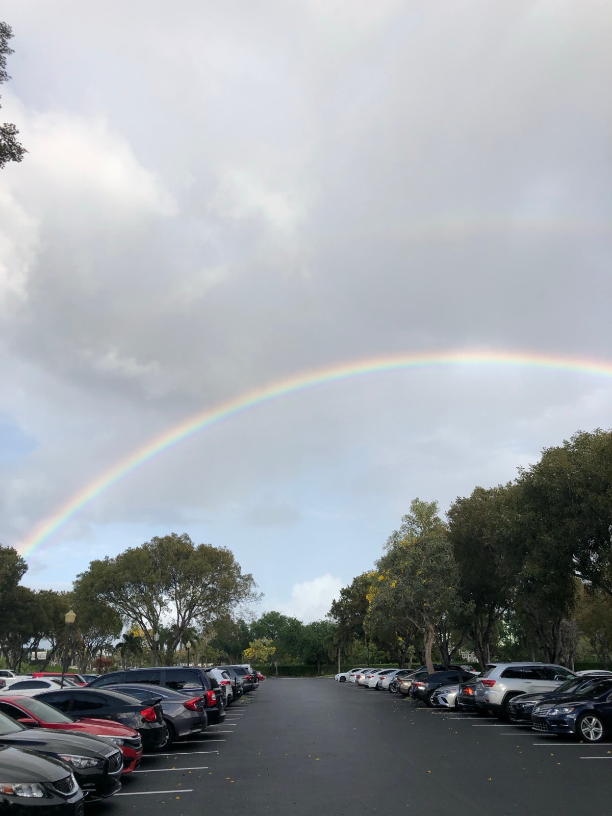 Florida Memories: Rainbows 🌈, Suriname 🇸🇷 & Citrus&nbsp;🍊
